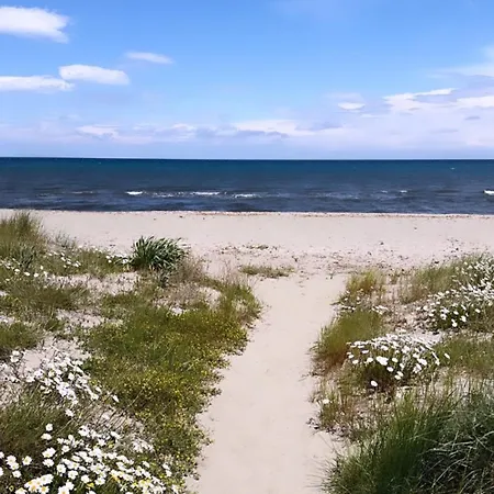 Maison En Bord De Mer, De La Marana En Corse Villa *