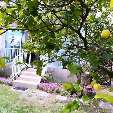 Maison En Bord De Mer, De La Marana En Corse Villa