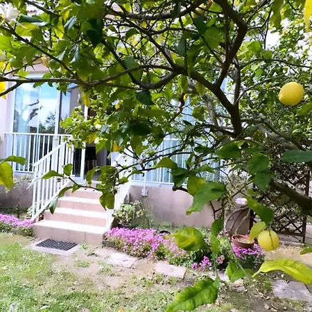 Villa Maison En Bord De Mer, De La Marana En Corse *